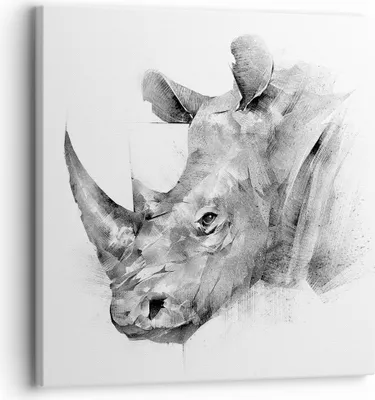 Produktbild von Bild auf Leinwand - Leinwandbild - Einteilig - Nashorn Porträt Grafik - 30x30cm - Wand Bild - Wanddeko - Wandbilder - Leinwanddruck - Bilder - Wanddekoration - Leinwand bilder - AC30x30-4378