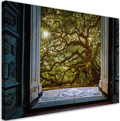 Produktbild von Leinwandbild Blick auf einen Baum Sonne Natur 120x80 Feeby Grün bild für die wand bereit zum aufhängen