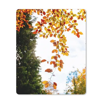 Produktbild von MuchoWow® Mauspad Mousepad Herbst - Laub - Natur 30x40 cm - Mousepads - Maus Mat - Pad - Mausunterlage - Mausmatten