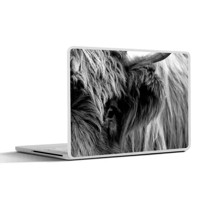 Produktbild von MuchoWow® Laptop Aufkleber Sticker Cover Scottish Highlander - Auge - Schwarz - Weiß 32.5x23.5 cm - Sticker für Laptop - Selbstklebend