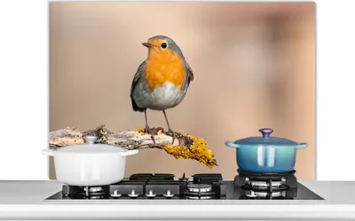 Produktbild von KitchenYeah®  Spritzschutz Küche - Küchenrückwand - Wandschutz für Herd und Spüle - Rotkehlchen - Vogel - Zweig - Tiere 100x65 - Alu-Dibond (Alternative zum Spritzschutz aus Glas) - Hitzebeständig - H