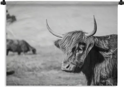 Produktbild von MuchoWow® Wandteppich Wandbehang Schottischer Highlander - Tiere - Schwarz - Weiß 90x67.5 cm Tapisserie Dekoration Wandtuch - Fototeppich - Wand-Skulpturen