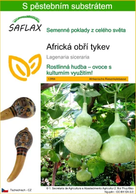 Obrázek produktu pro SAFLAX - Africká obří tykev - Lagenaria siceraria - 15 Semena - S pěstebním substrátem bez klíčků