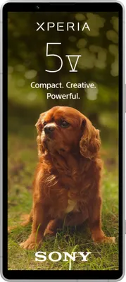 Produktbild von Xperia 5 V 5G 128GB Silber Smartphone