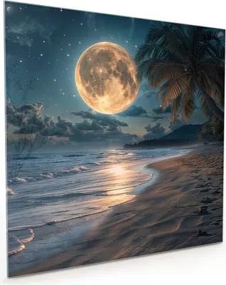 Produktbild von Küchenrückwand Spritzschutz Glas mit Motiv Mondnacht am Strand 40 x 40 cm