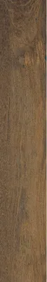 Obrázek produktu pro CASA39 Dlaždice v imitaci dřeva, hnědé, 20 x 120 cm, Ragno Woodsense