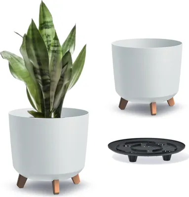 Image de Pot de fleurs Gracia Tubus à pattes blanches DGTL300L-S449