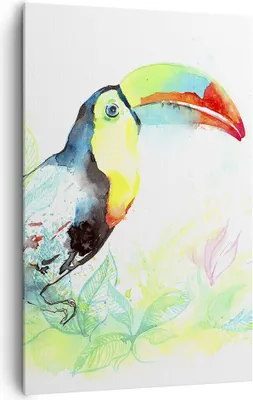 Produktbild von Bild auf Leinwand - Leinwandbild - Einteilig - Vogel Toucan Neugier wild - 80x120cm - Wand Bild - Wanddeko - Wandbilder - Leinwanddruck - Wanddekoration - Leinwand bilder - Wandbild - PA80x120-2991