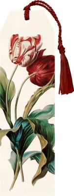 Obrázok produktu pre Knižní záložka Tulip