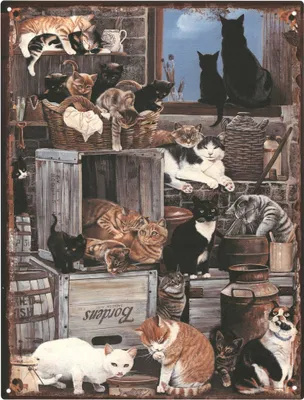 Produktbild von Moritz Deko Blechschild Katzen Kätchen Kitten Metallschild Retro Vintage-Design zur Dekoration Wanddekoration