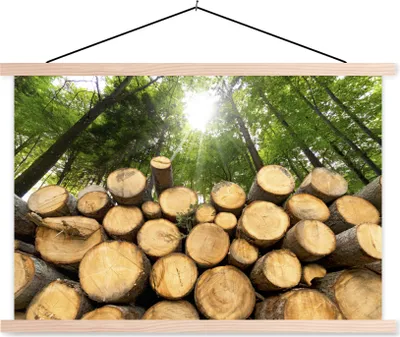Produktbild von MuchoWow® Textilposter Bäume - Holz - Wald 120x80 cm mit holzfarbenen Rahmen - Aufhängeset