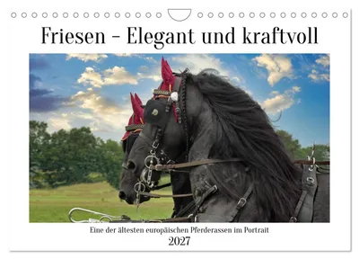 Produktbild von Friesen - elegant und kraftvoll (Wandkalender 2027 DIN A4 quer), CALVENDO Monatskalender