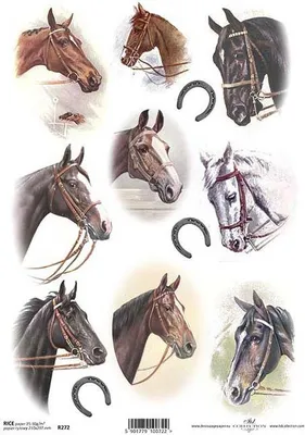 Immagine prodotto di ITD Carta di riso per decoupage R0272 Cavalli, teste di cavallo, ferri di cavallo