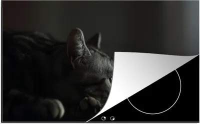 Produktbild von KitchenYeah© Herdabdeckplatte Ein American Shorthair liegt auf dem Tisch , 89x51cm, Küche Deko, Glaskeramikkochfeld Herdabdeckung, Abdeckplatte fùr Kochfeld