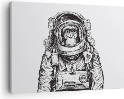 Produktbild von Bild auf Leinwand - Leinwandbild - Einteilig - Schimpanse Astronaut Zeichnung - 70x50cm - Wand Bild - Wanddeko - Wandbilder - Leinwanddruck - Bilder - Wanddekoration - Leinwand bilder - AA70x50-4312