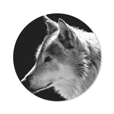 Produktbild von MuchoWow® Mauspad Mousepad Wildlife - Wolf - Schwarz - Weiß 40x40 cm - Mousepads - Maus Mat - Pad - Mausunterlage - Schreibtisch Accessoires