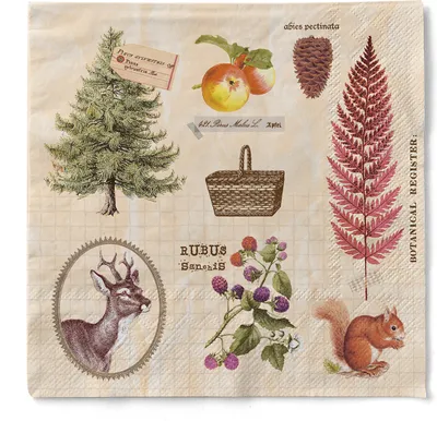 Produktbild von Sovie HORECA Serviette Elias aus Tissue 40 x 40 cm, 3-lagig, 100 Stück - Wald Waldtiere