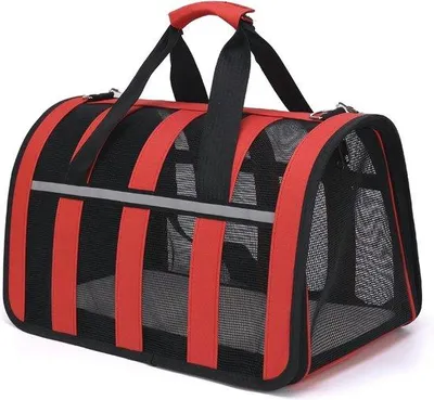 Obrázek produktu pro Krátký ofina z pravých vlasů – 25 cm – vlasy Virgin Remy