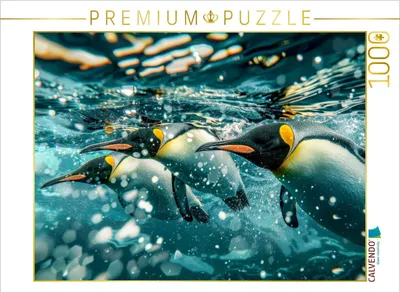 Produktbild von CALVENDO Puzzle Krillfischer | 1000 Teile Lege-Größe 64x48cm Foto-Puzzle für glückliche Stunden
