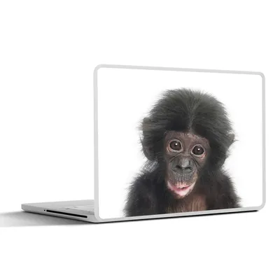 Produktbild von MuchoWow® Laptop Aufkleber Sticker Cover Affe - Tiere - Natur - Schimpanse 32.5x23.5 cm - Sticker für Laptop - Selbstklebend
