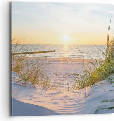 Produktbild von Bild auf Leinwand - Leinwandbild - Düne Strand Meer - 70x70cm - Wand Bild - Wanddeko - Wandbilder - Leinwanddruck - Bilder - Kunstdruck - Wanddekoration - Leinwand bilder - Wandkunst - AC70x70-3989
