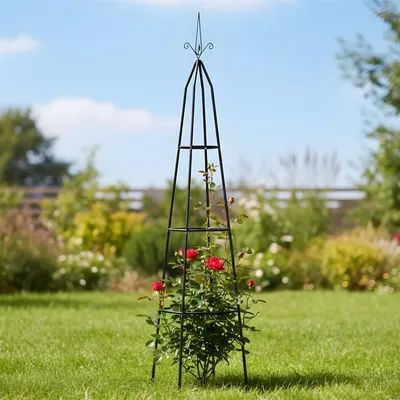 Produktbild von Rankhilfe "Pyramide" aus Metall, schwarz, Ø 35 x 200 cm hoch, Rankgitter für Kletterpflanzen, Pflanzenstütze