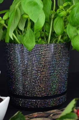 Produktbild von Kerd Dekorative Blumentopf 21 cm Schwarz mit Untersetzer