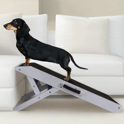 Obrázek produktu pro Místo na spaní pro psy 18–53 cm, borovice, šedé, nastavitelné, bezpečné
