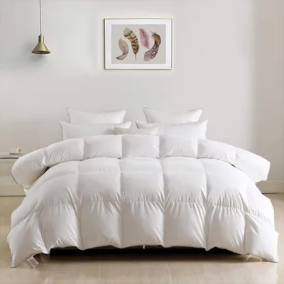 Produktbild von Winterdaunendecke 240x260 Gänsedaunen 2380g Premiumwärme