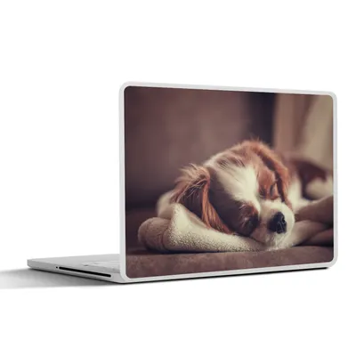Produktbild von MuchoWow® Laptop Aufkleber Sticker Cover Kleiner Hund schläft auf einer Decke 30x21 cm - Sticker für Laptop - Selbstklebend