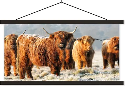Produktbild von MuchoWow® Textilposter Schottische Hochlandrind - Schnee - Wald 90x45 cm mit schwarzem Rahmen - Klemmleisten