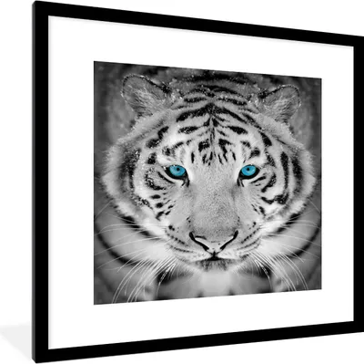 Produktbild von MuchoWow® Gerahmtes Poster Tiere - Tiger - Augen - Blau - Schwarz und weiß 40x40 cm - Poster mit Schwarzem Bilderrahmen Wandposter Rahmen Foto Bilder - Poster - Plakat im Rahmen