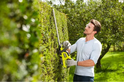 Immagine prodotto di RYOBI - 18V ONE+ Hedge Trimmer - 45cm Blades - 18mm Blade Spacing - 1 x 18V 2.0Ah Lithium+ Battery and 1 x 1.5A Charger - RHT184520