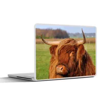 Produktbild von MuchoWow® Laptop Aufkleber Sticker Cover Schottischer Highlander - Gras - Baum 36.5x27.5 cm - Laptop-Sticker