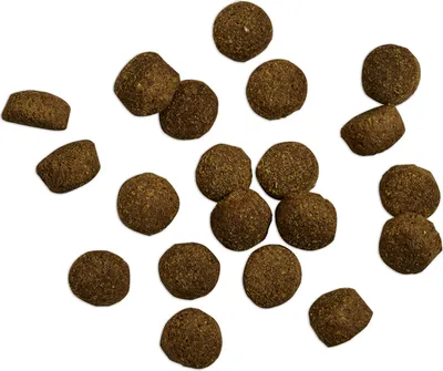 Image de BELCANDO Baseline Ranger 1,0 kg