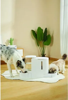 Obrázok produktu pre Dávkovač suchého krmiva a vody DUPLO - M PETS - 1,3 kg / 3 l - 40 x 16,2 x 29,1 cm - biely