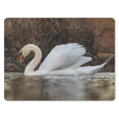 Produktbild von MuchoWow® Mauspad Mousepad Schwan - Wasser - Tiere - Vogel 23x19 cm - Mousepads - Maus Mat - Pad - Mausunterlage - Schreibtischunterlage - Mauspad