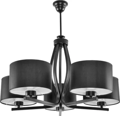 Productafbeelding van Zwarte plafondlamp met zwarte lampenkap, model HILDA , artikelnummer 11-530
