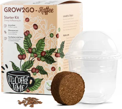 Produktbild von GROW2GO Dein eigener Zwergkaffee Strauch zum selber Pflanzen - Immergrüner Kaffeestrauch mit wunderschönen Blüten für die Anzucht von eigenen Kaffeebohnen (Anzuchtset)