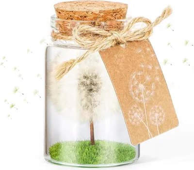 Produktbild von Echte Pusteblume im Glas - Handgefertigtes Geschenk für Geburtstag, Hochzeit - Wunscherfüller von Giftota
