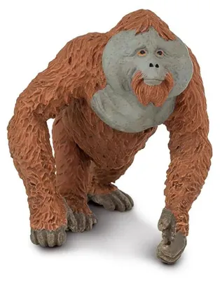 Produktbild von Safari Ltd Männliche Orang-utan-figur Braun,Grau From 3 Years Kinder Braun,Grau From 3 Years