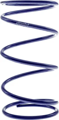 Obrázok produktu pre Protitlaková pružina Polini +55% pre Minarelli