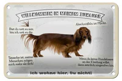 Produktbild von Blechschild Spruch 18x12cm Tiere Hund ich wohne hier du nicht Schild