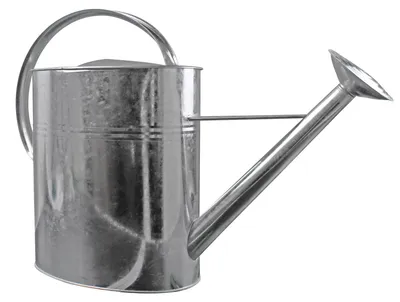 Produktbild von Blechkanne Gießkanne Metallkanne Kanne verzinkt 10 Liter