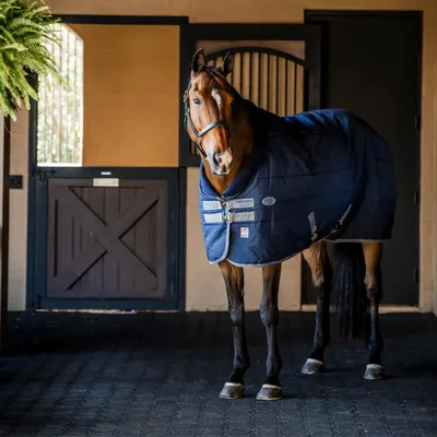 Immagine prodotto di Coperta da stalla Horseware, taglia 145, modello Rhino Stable 350g VL, colore blu navy/grigio titanio/blu classico