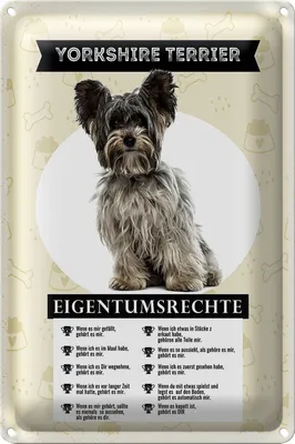 Produktbild von Blechschild Spruch 18x12cm Yorkshire Terrier Eigentumsrechte