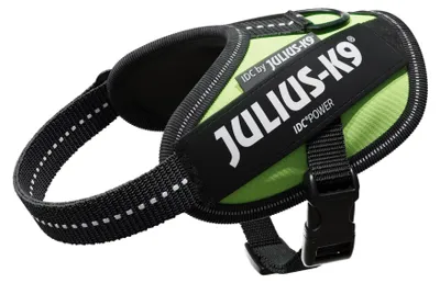 Image de Julius-K9® IDC® Powergeschirr® Baby 2/Mini-Mini/Mini 33–45 cm/18 mm vert fluo