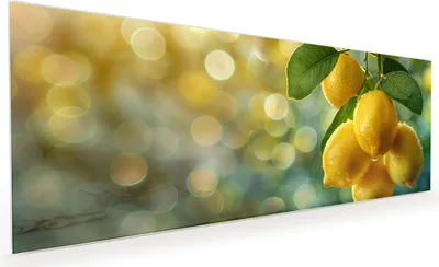 Produktbild von Küchenrückwand Spritzschutz Glas mit Motiv Zitronenbaum 40 x 40 cm