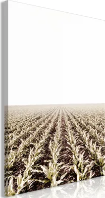 Produktbild von Italienischer Leinwand Leinwandbild - Corn Field (1 Part) Vertical 40x60 cm Landschaften c-B-0644-b-a