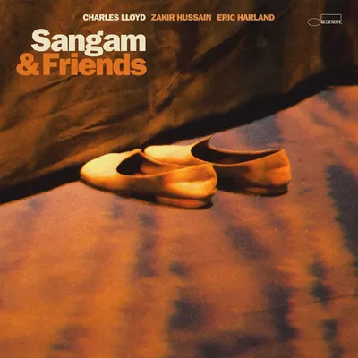 Image de Sangam et ses amis
